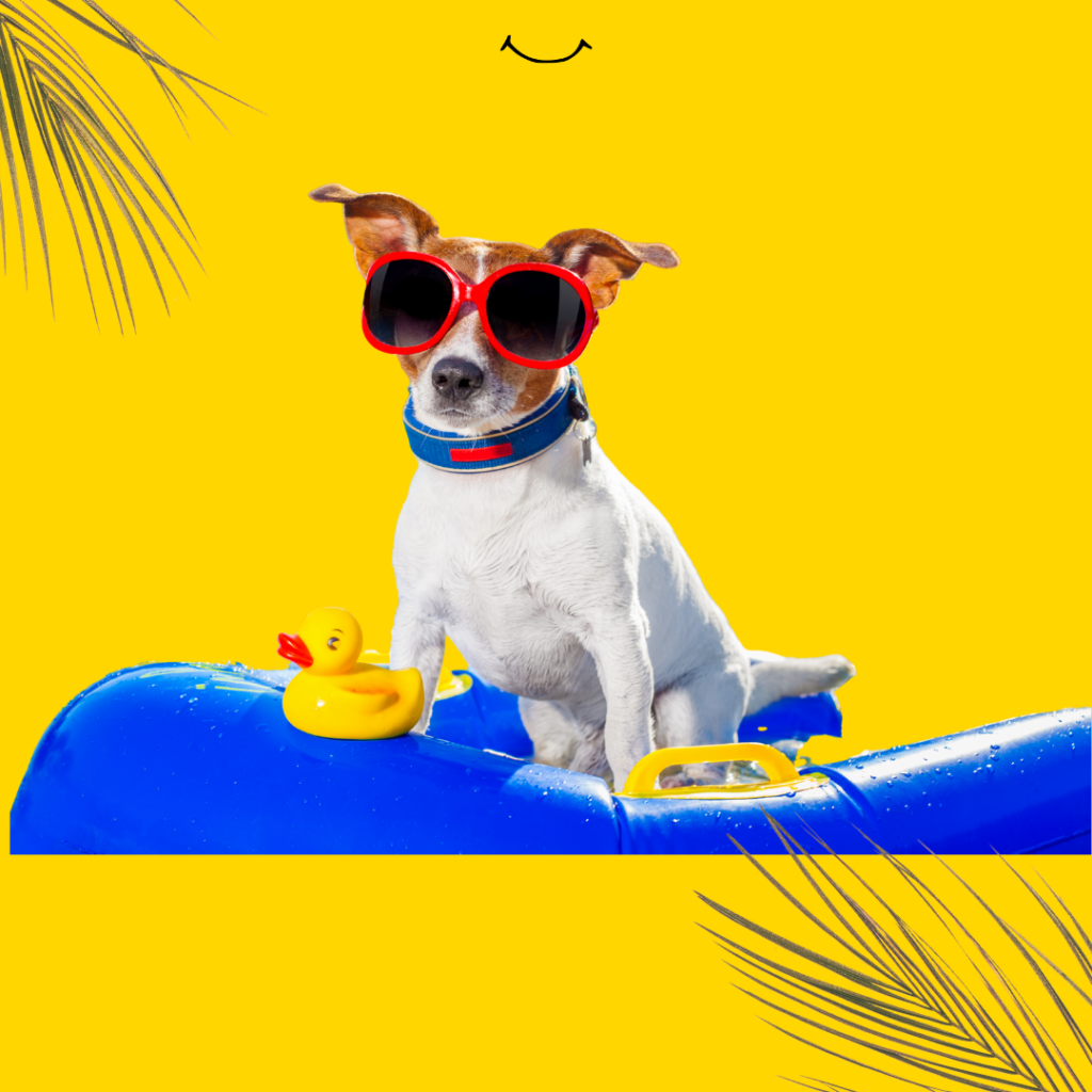 Last-Minute Sommerbuchungen effektiv steigern